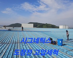 시그네틱스 도장공사