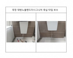 타일보수