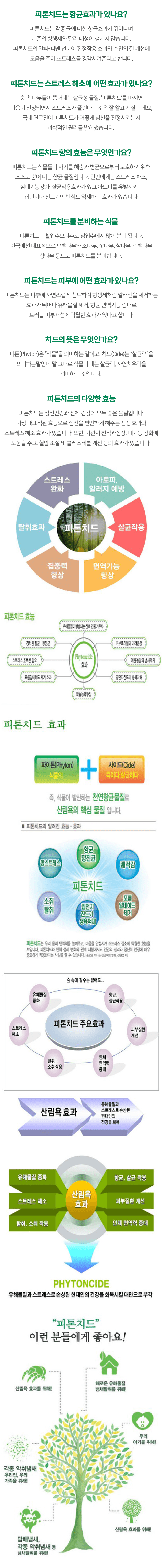 피톤치드 항균페인트